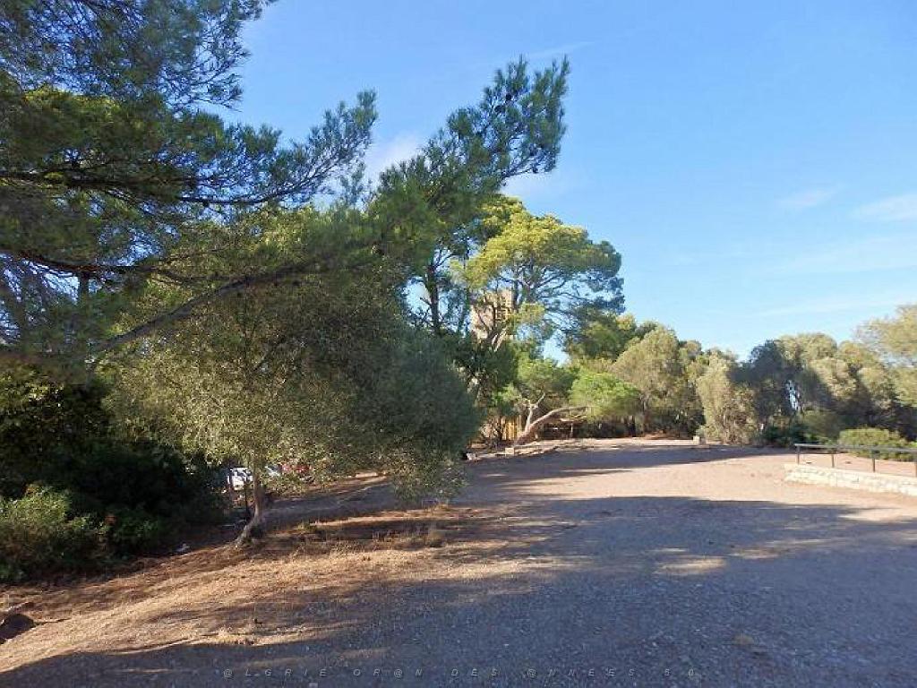 183 HYERES ET SES PALMIERS D15_000027.jpg